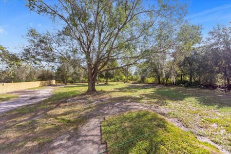 New construction Manufactured Home house 4935 Satellite Avenue, Saint Cloud, FL 34773 - photo 3 3