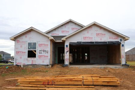 New construction Single-Family house 22494 Birchfield Grove Lane, New Caney, TX 77357 Freestone- photo 10 10