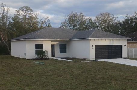New construction Single-Family house 251 Bayou Vista Street, Debary, FL 32713 - photo 3 3