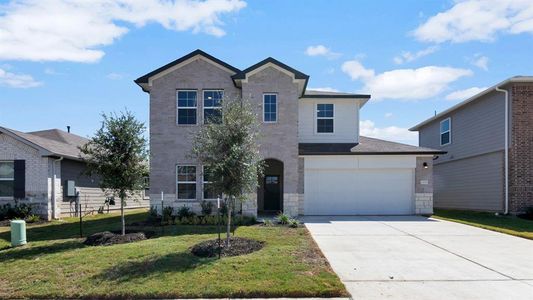 New construction Single-Family house 13704 Dismuke Dr, Manor, TX 78653 The Naples- photo 1 1