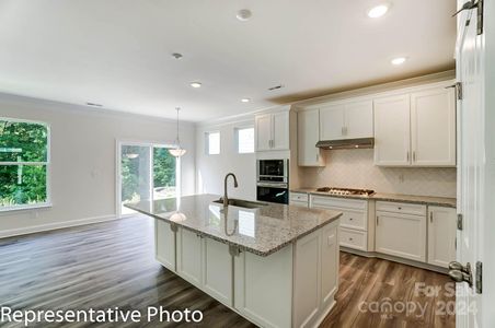 New construction Single-Family house 1457 Ardmore Drive, Unit 239, Sherrills Ford, NC 28673 - photo 10 10