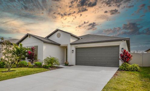 New construction Single-Family house 5490 Blue Azure Drive, Wimauma, FL 33598 - photo