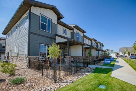 New construction Multi-Family house 950 Schlagel Street, Unit 3, Fort Collins, CO 80524 Timberline- photo 44 44