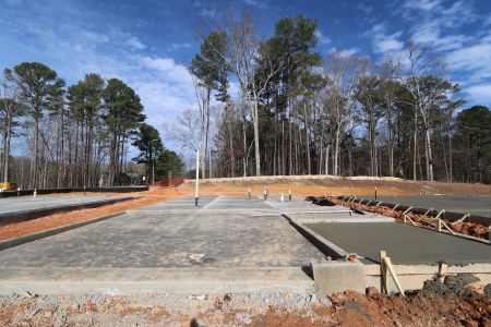 New construction Single-Family house 3056 June Lake Station, Apex, NC 27502 Viola - Premier Collection- photo 23