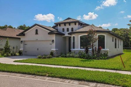 Rose Haven by Vitale Homes in New Port Richey - photo 2 2