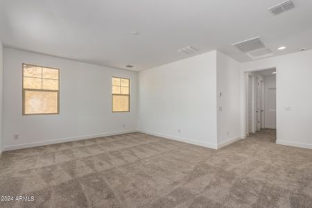 New construction Single-Family house 7815 E Quartet Avenue, Mesa, AZ 85212 Turquoise- photo 16 16