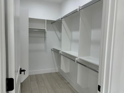 Walk in closet featuring light hardwood / wood-style floors