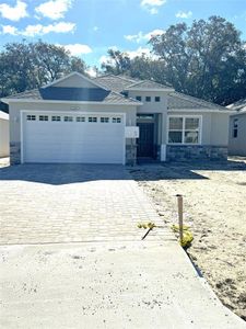 New construction Single-Family house 25444 Lido Avenue, Mount Plymouth, FL 32776 - photo 0 0
