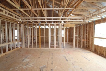 New construction Single-Family house 3024 King Fern Drive, Wimauma, FL 33598 Mira Lago- photo 21 21