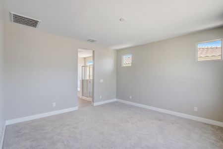 New construction Single-Family house Forest Palace Place, Peoria, AZ 85383 - photo 14 14