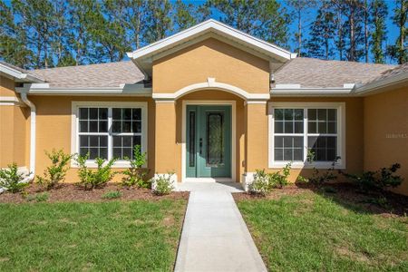 New construction Single-Family house 12 Esperanto Drive, Palm Coast, FL 32164 - photo