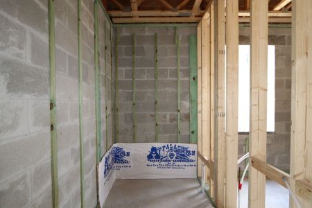New construction Single-Family house 9611 Crescent Ray Drive, Wesley Chapel, FL 33545 Dali- photo 10 10