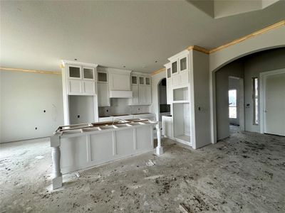New construction Single-Family house 4859 Prairie Sky Lane, Dish, TX 76247 - photo 8 8