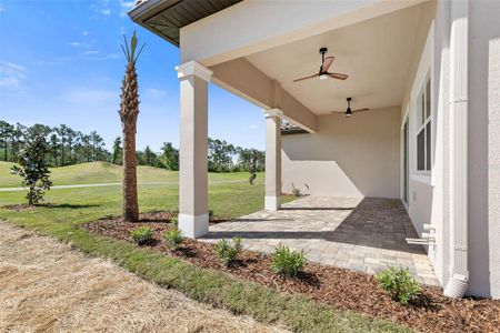 New construction Single-Family house 344 Hibiscus Way, Palm Coast, FL 32137  The Hibiscus Plan- photo 53 53