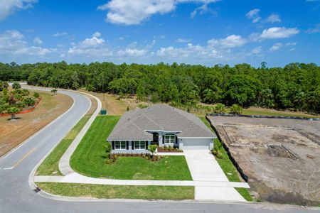 New construction Single-Family house 8786 Watestone Blvd, Fort Pierce, FL 34951 3000- photo 19 19