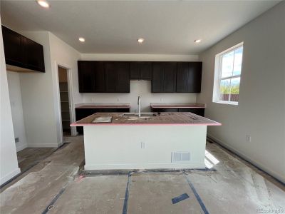 New construction Single-Family house 3985 N Picadilly Court, Aurora, CO 80019 Elbert- photo 12 12