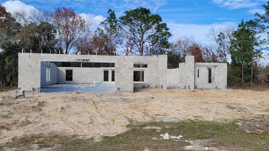 New construction Single-Family house 5367 Sw 150Th Lane, Ocala, FL 34473 - photo 8 8