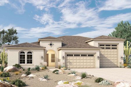 Canyon Views – 80’ Paradise Series by David Weekley Homes in Litchfield Park - photo 4 4