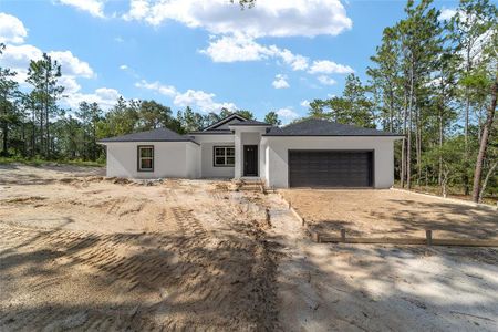 New construction Single-Family house 13359 Sw 80Th Street, Dunnellon, FL 34432 - photo 3 3