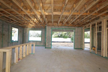 New construction Single-Family house 12114 Hilltop Farms Drive, Dade City, FL 33525 Alenza- photo 8 8