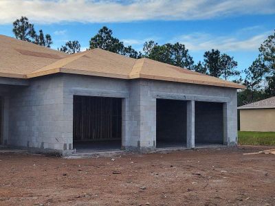 New construction Single-Family house 50 Uhl Path, Palm Coast, FL 32164 - photo 1 1