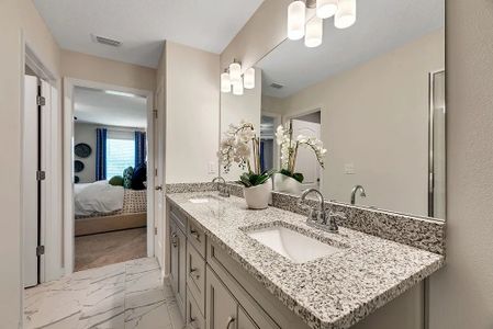 New construction Townhouse house 9698 Sweetwell Place, Riverview, FL 33569 - photo 30 30