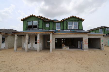 New construction Single-Family house 2486 Clary Sage Drive, Spring Hill, FL 34609 Santa Monica- photo 63 63