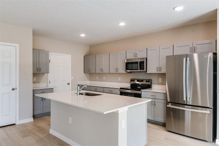 New construction Single-Family house 7741 Twin Leaf Terrace, Parrish, FL 34219 Azure- photo 1 1