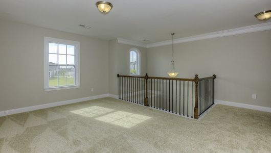 New construction Single-Family house 3353 Nc 16 Business Highway, Denver, NC 28037 - photo 76 76