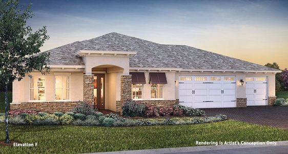 New construction Single-Family house Longleaf Ridge - Arlington, 8447 Southwest 99th Street Road, Ocala, FL 34481 - photo