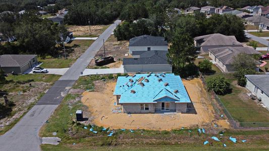 New construction Single-Family house 1601 Tench Court, Kissimmee, FL 34759 - photo 11 11