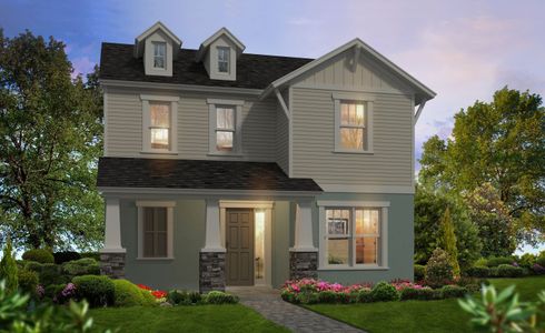 Bexley by ICI Homes in Land O' Lakes - photo 22 22