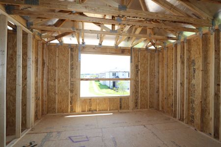 New construction Single-Family house 2881 Misty Marble Drive, Zephyrhills, FL 33540 Castellana- photo 20 20