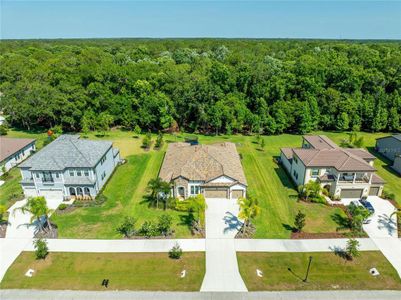 New construction Single-Family house 18416 Belfair Glen Place, Lutz, FL 33559 - photo 17 17