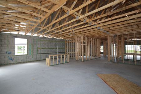 New construction Single-Family house 4778 Beachrose Way, Lakeland, FL 33811 Barcello- photo 23 23