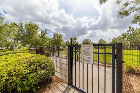 New construction Single-Family house 13791 Rangeland Boulevard, Odessa, FL 33556 - photo 58 58