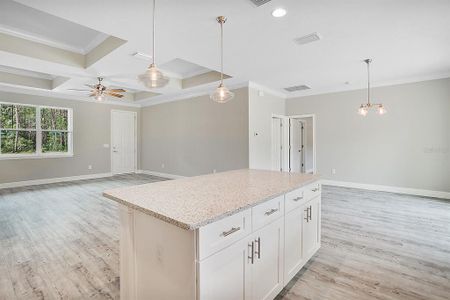 New construction Single-Family house 9645 Se 63Rd Court, Belleview, FL 34420 - photo 11 11