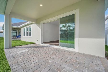 New construction Single-Family house 13032 Sunrise Harvest Drive, Winter Garden, FL 34787 - photo 21 21