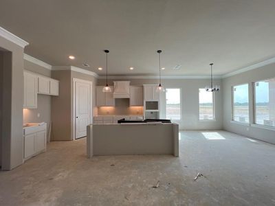 New construction Single-Family house 4205 Old Springtown Road, Weatherford, TX 76085 Verbena- photo 6 6