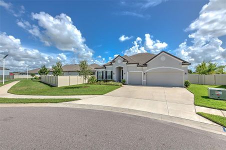 New construction Single-Family house 31291 Kale Brooks Court, San Antonio, FL 33576 - photo 0 0