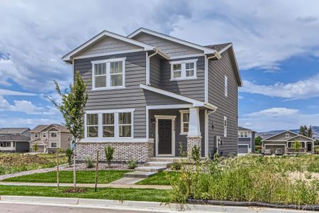New construction Single-Family house 6009 Flying Mallard Drive, Fort Collins, CO 80528 Pine- photo
