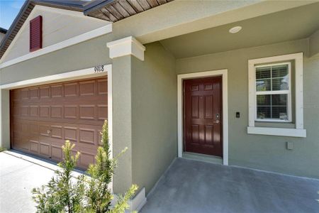 New construction Single-Family house 9918 Spanish Lime Court, Riverview, FL 33578 - photo 1 1