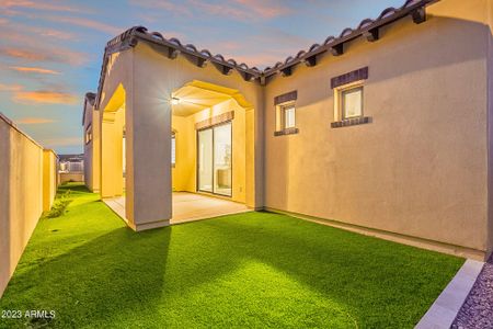 New construction Single-Family house 3211 S Hawthorn Court, Gold Canyon, AZ 85118 - photo 44 44