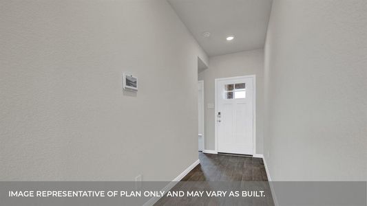 New construction Single-Family house 364 Elephant'S Ear Dr, New Braunfels, TX 78130 Bellvue - photo 2 2