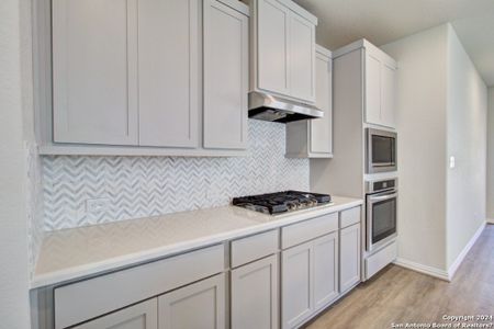 New construction Single-Family house 2058 Chelsea Grove, New Braunfels, TX 78130 Enclave Series - Bermuda- photo 2 2