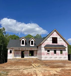 New construction Single-Family house 80 Morning Dew Way, Spring Hope, NC 27882 - photo 1 1