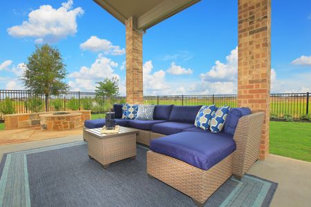 Provence - 60' by Drees Custom Homes in Austin - photo 10 10