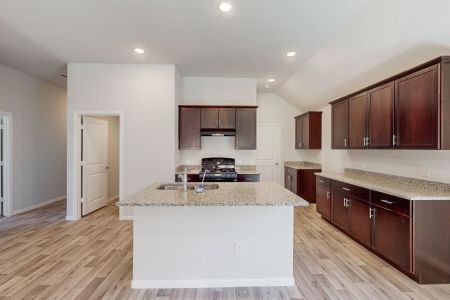 New construction Single-Family house 401 Kingsbury Avenue, Princeton, TX 75407 - photo 15 15