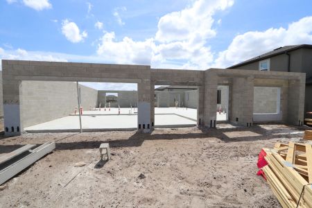 New construction Single-Family house 9464 Seagrass Port Pass, Wesley Chapel, FL 33545 Barcello Bonus- photo 10 10