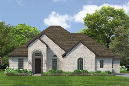 New construction Single-Family house 3018 Box Elder Road, Royse City, TX 75173 - photo 9 9